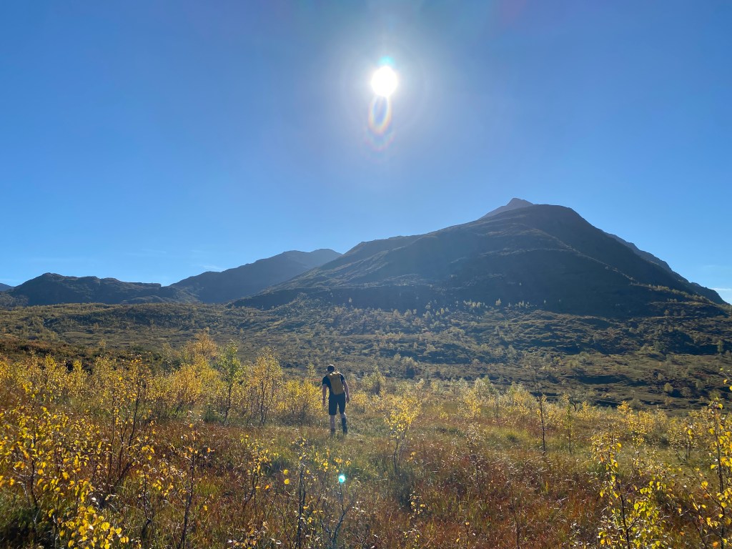 Felthydrologene i HydraTeam